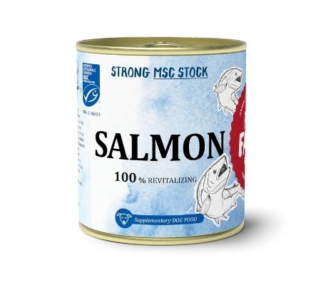caldo salmon perro